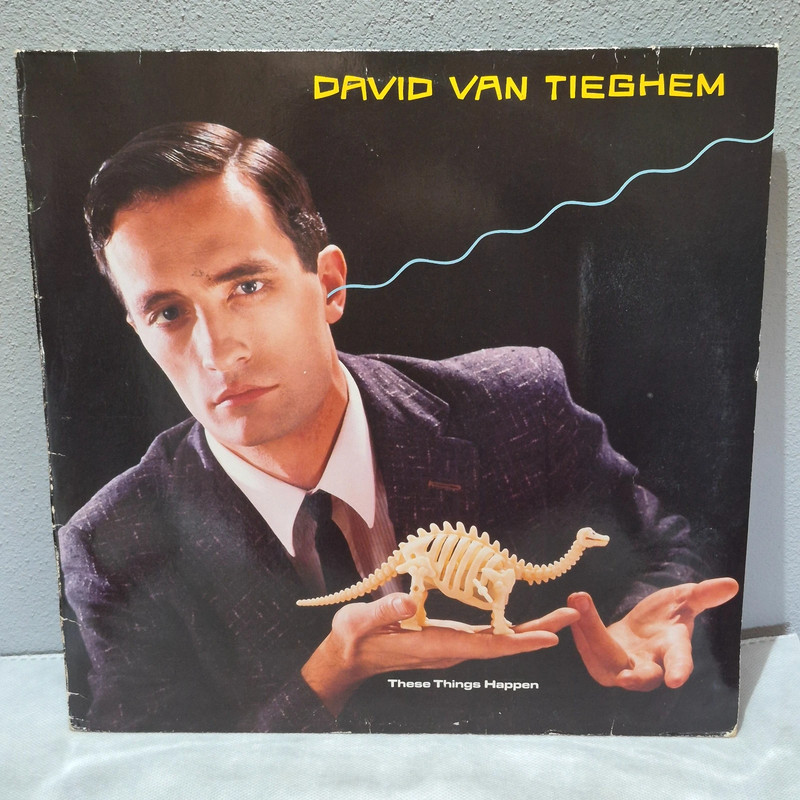 Vinile 33 giri David Van Tieghem – These Things Happen 1984 Europe