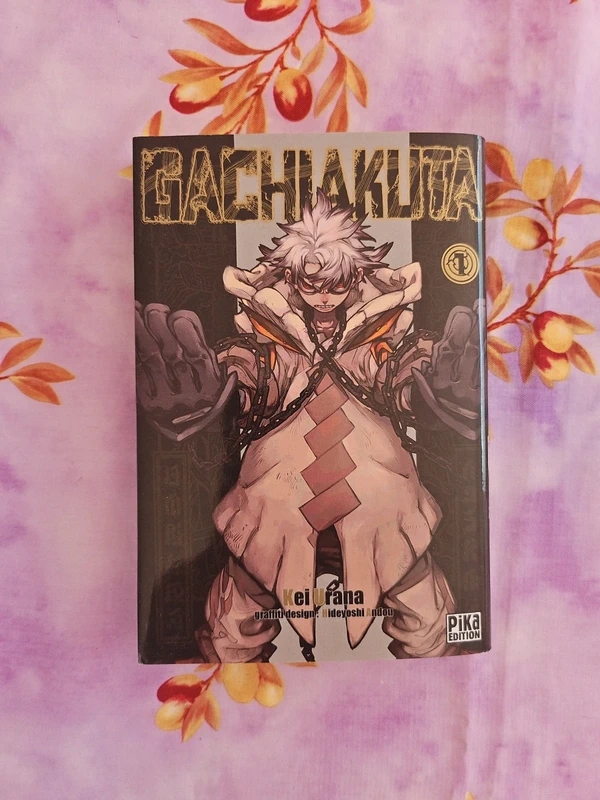 Gachi Akuta T.1 à 5