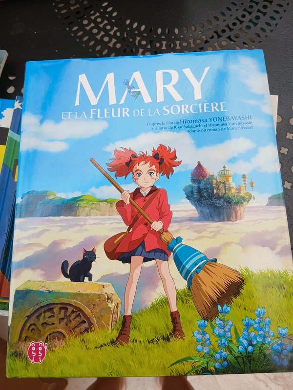 Livre Mary et la fleur de la sorcière