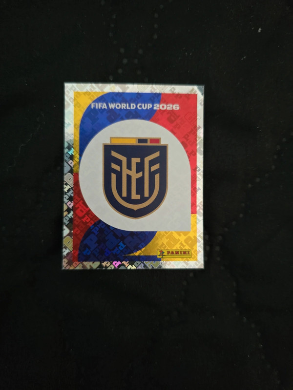 Ecu 1 panini