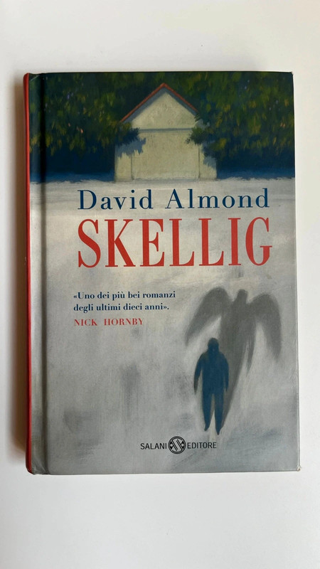 Skellig - libro