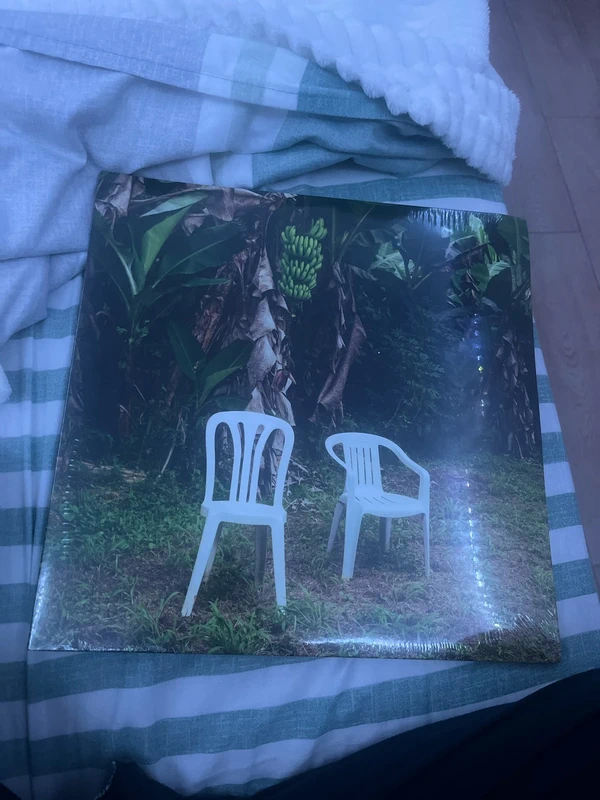 vinile di bad bunny