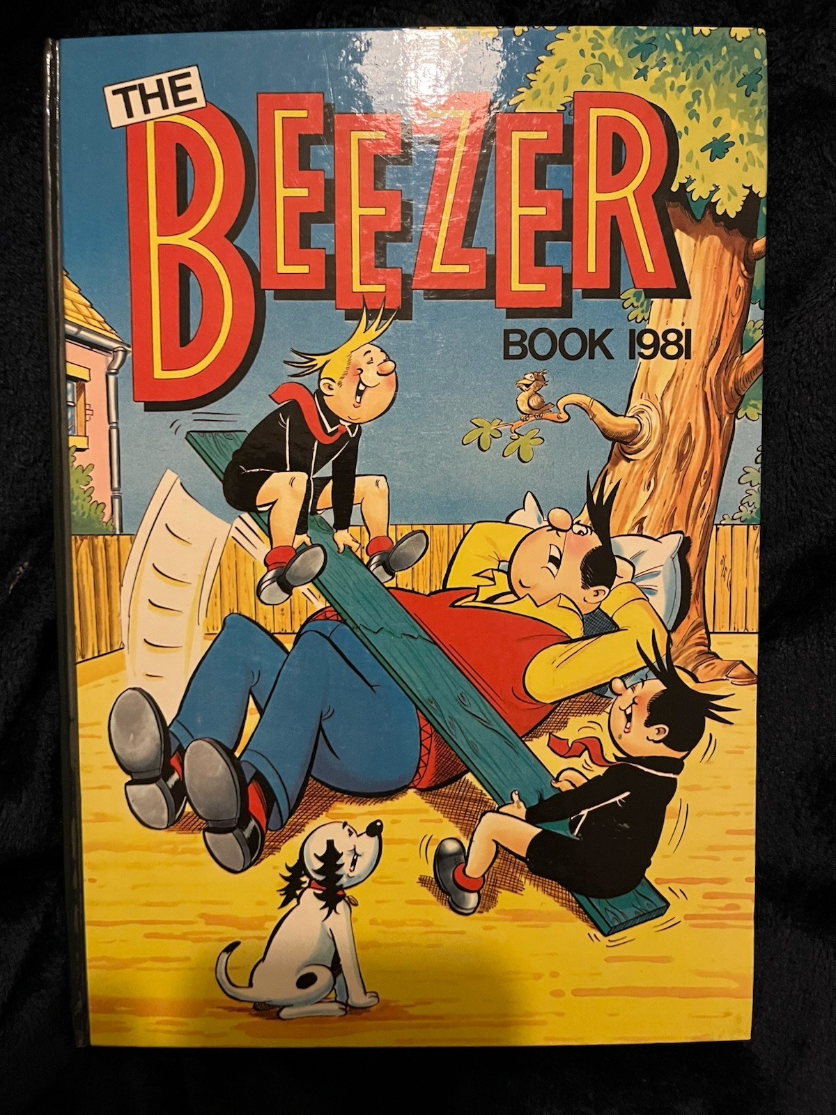 The Beezer Book 1981 Annual Unclipped Excellent Condition