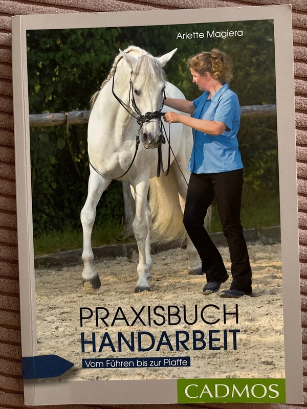 Praxisbuch Handarbeit