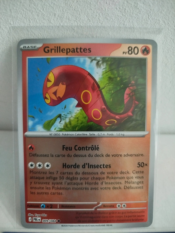 Grillepattes reverse 009/084 Nuit Noire