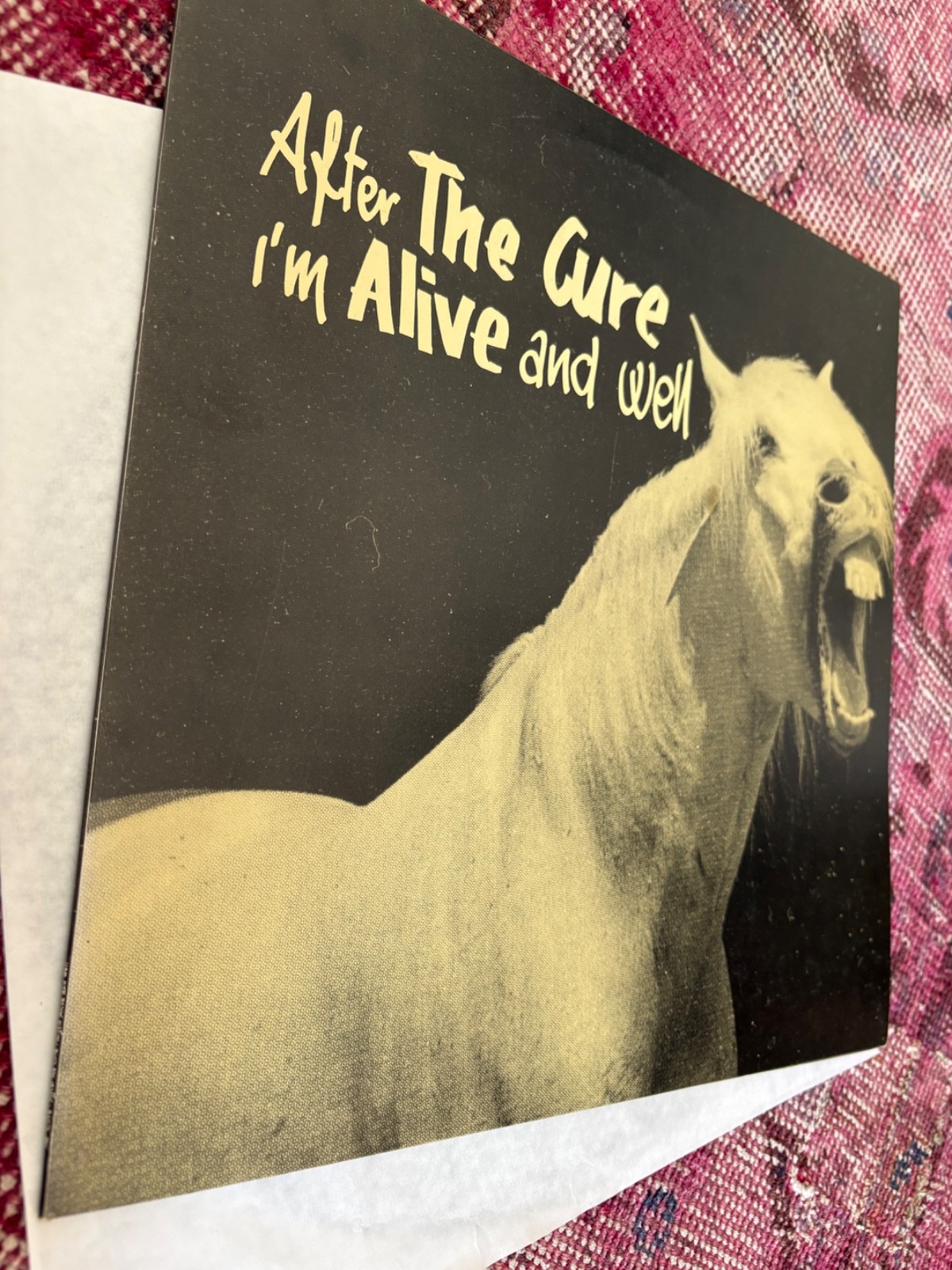 the cure Vinyl 