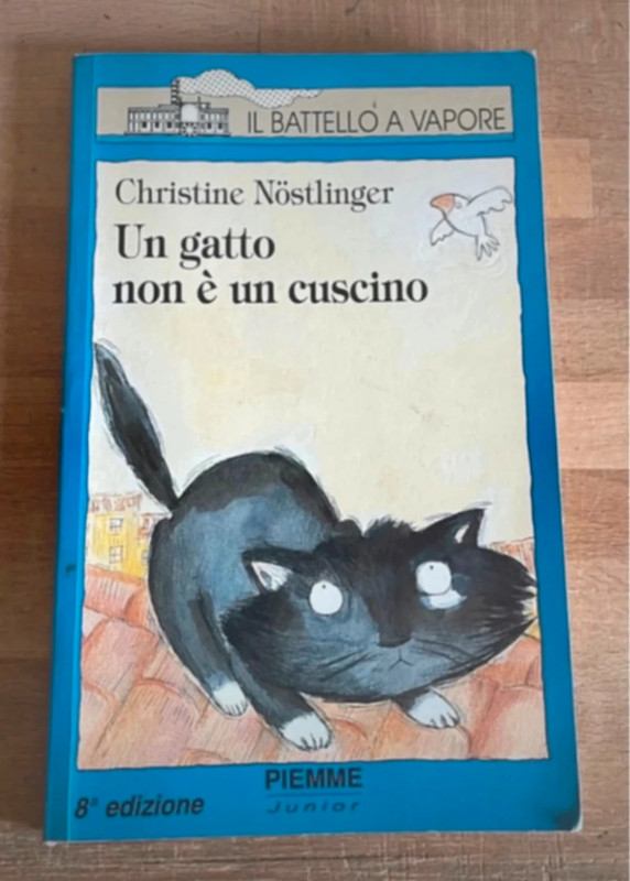 Un gatto non è un cuscino