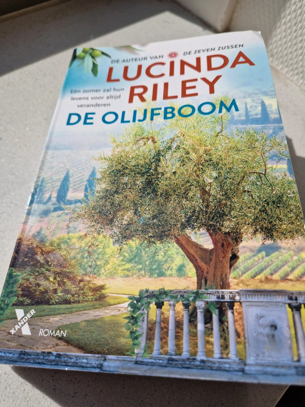 Roman : De olijfboom: Lucia Riley