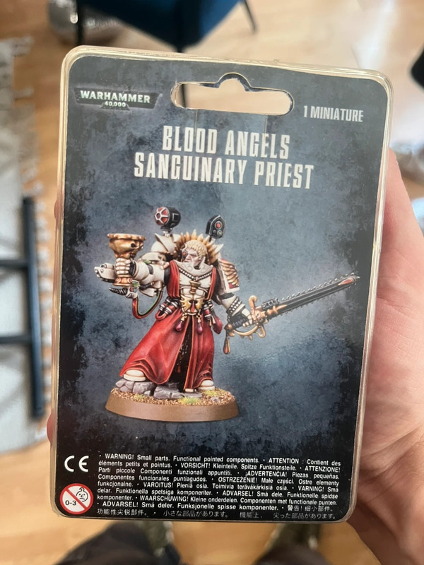 Warhammer Blood Angels Sanguinary Priest