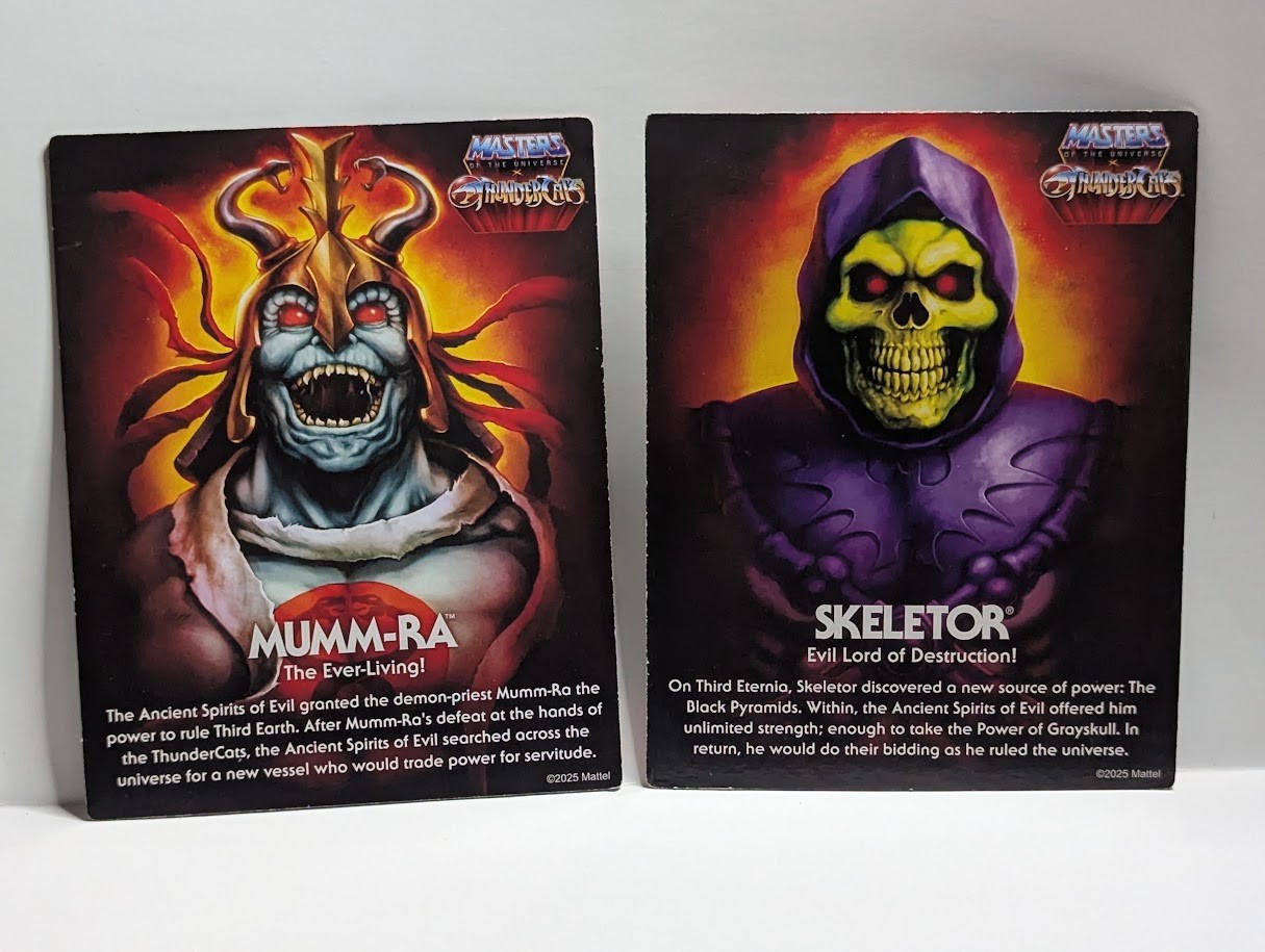 Carta MOTU Origins TMNT Turtles Of Grayskull SOLO 2024 nuova non sigillata Skull-Ra