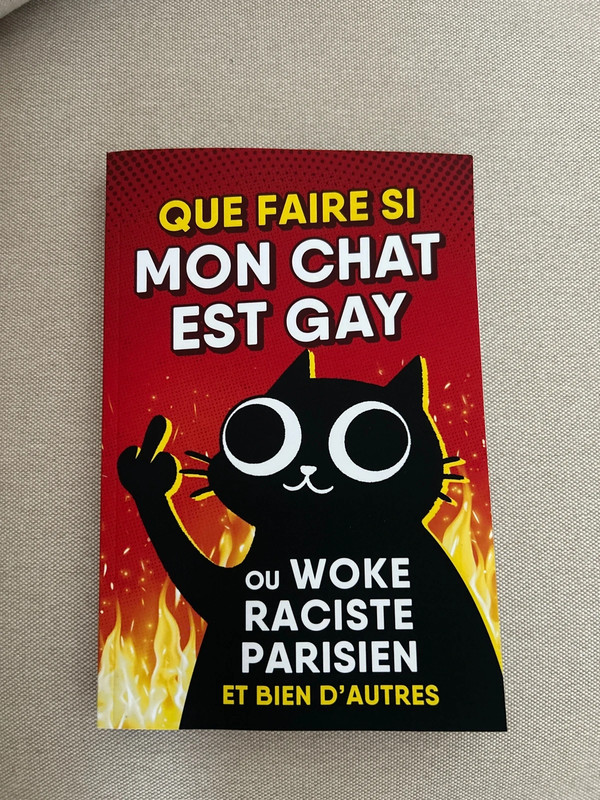 Que faire si mon chat est gay