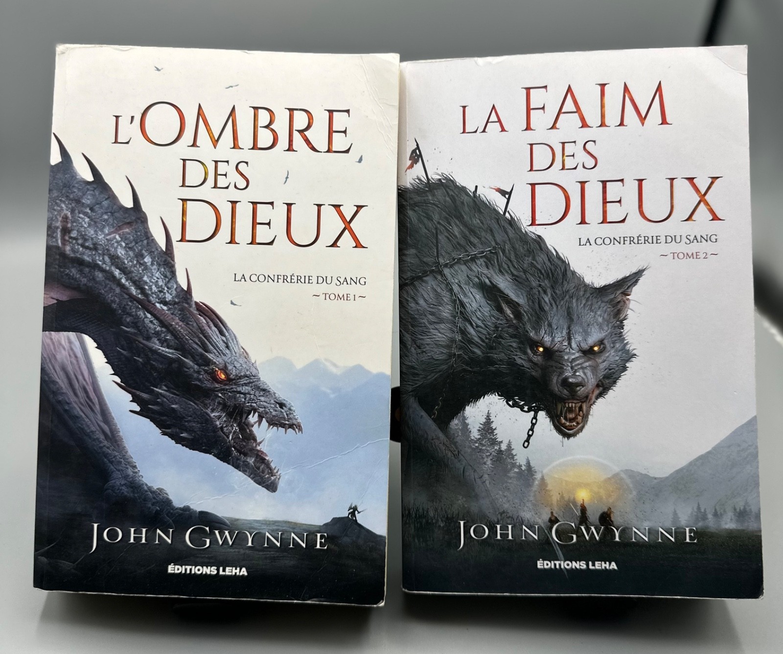 Lot La Confrérie du Sang tomes 1 et 2 John Gwynne Fantasy viking Éditions Leha