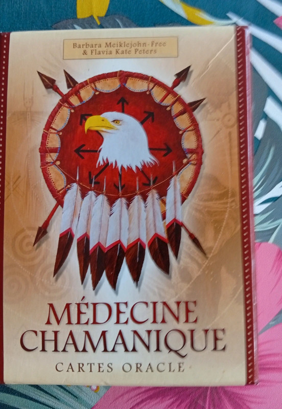 Médecine chamanique