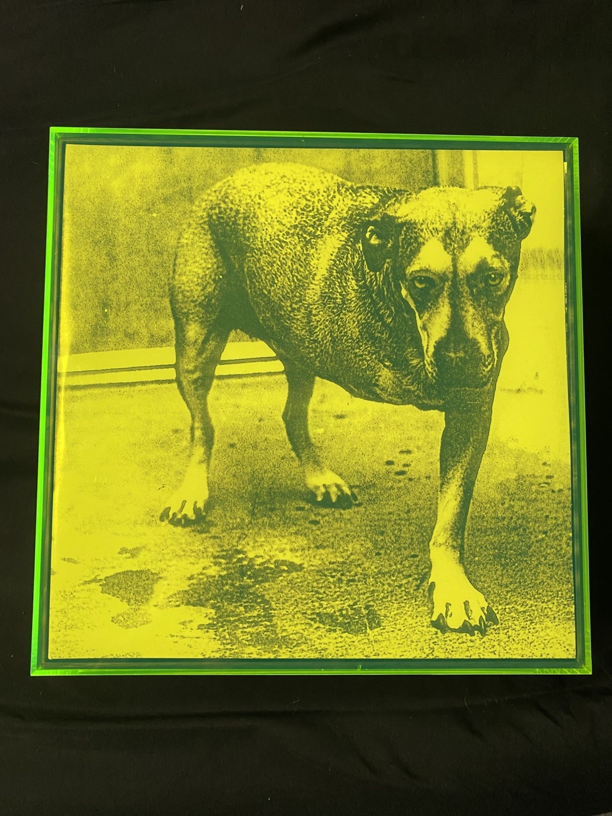 Alice In Chains Tripod 30th Anniversary Box Set Limited Edition NEW