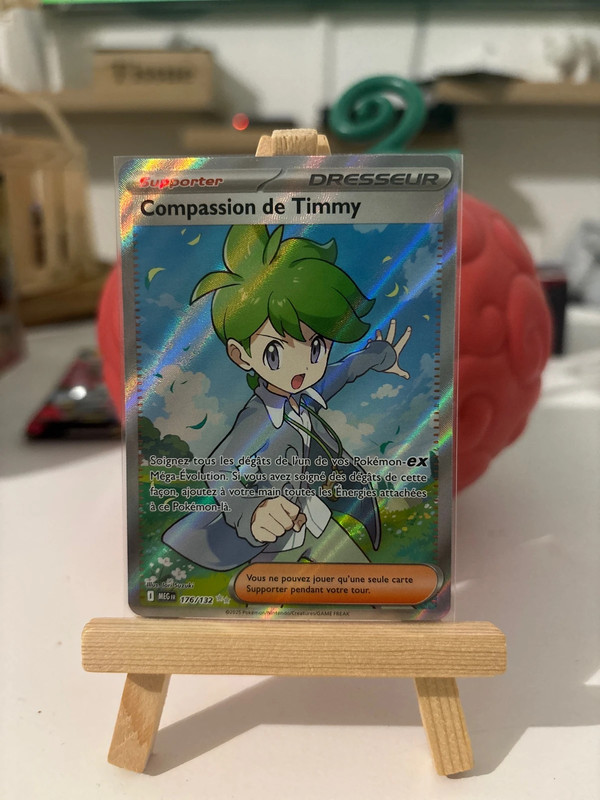 Carte Pokémon Compassion de Timmy 176/132
