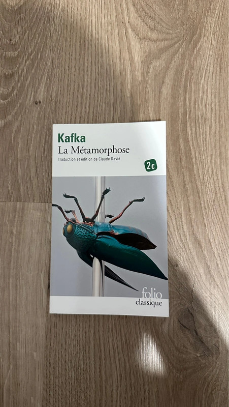 « La Métamorphose » de Kafka