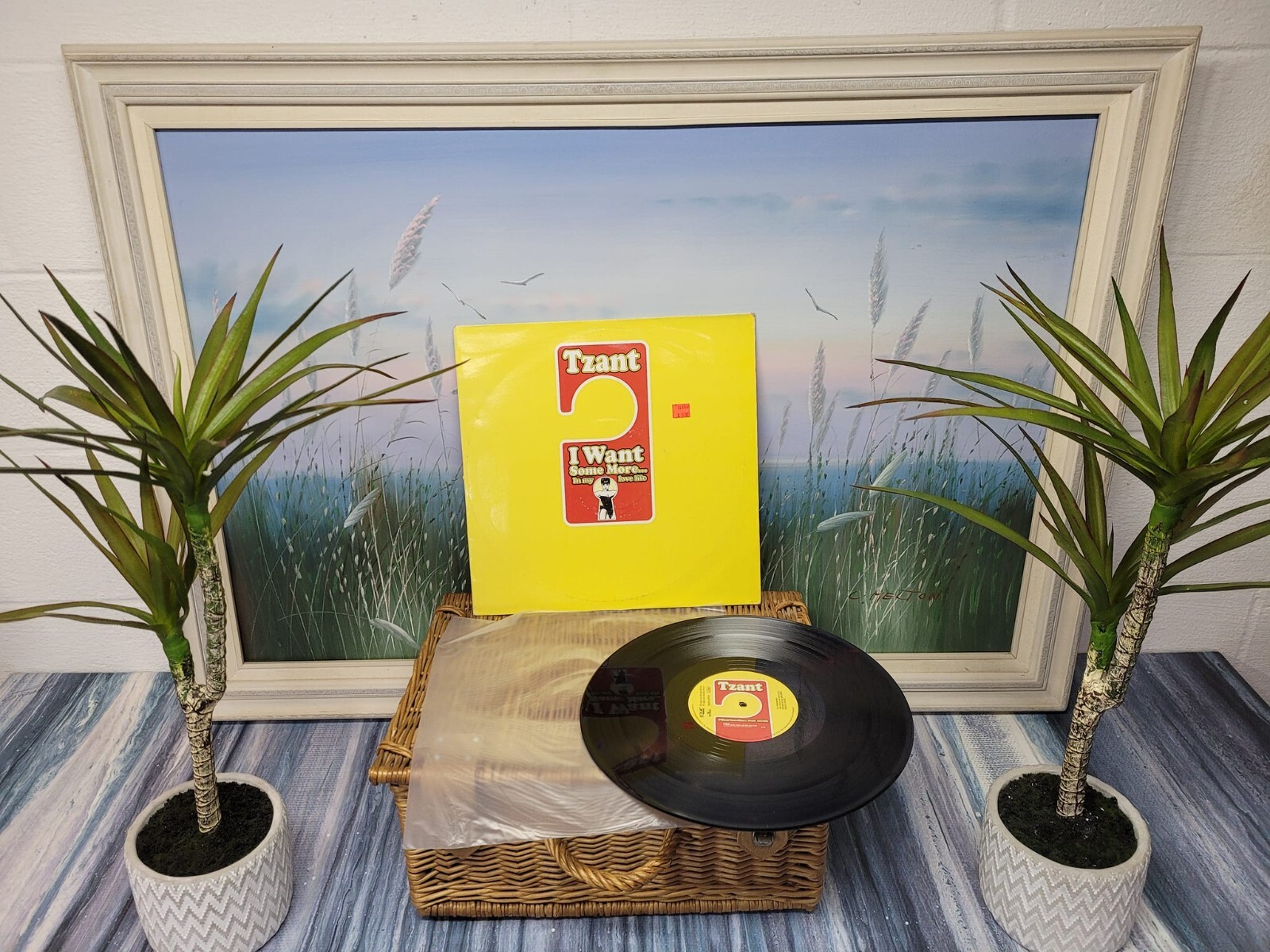 tzant I want some more... in my love life vinyl record / R4 crate
