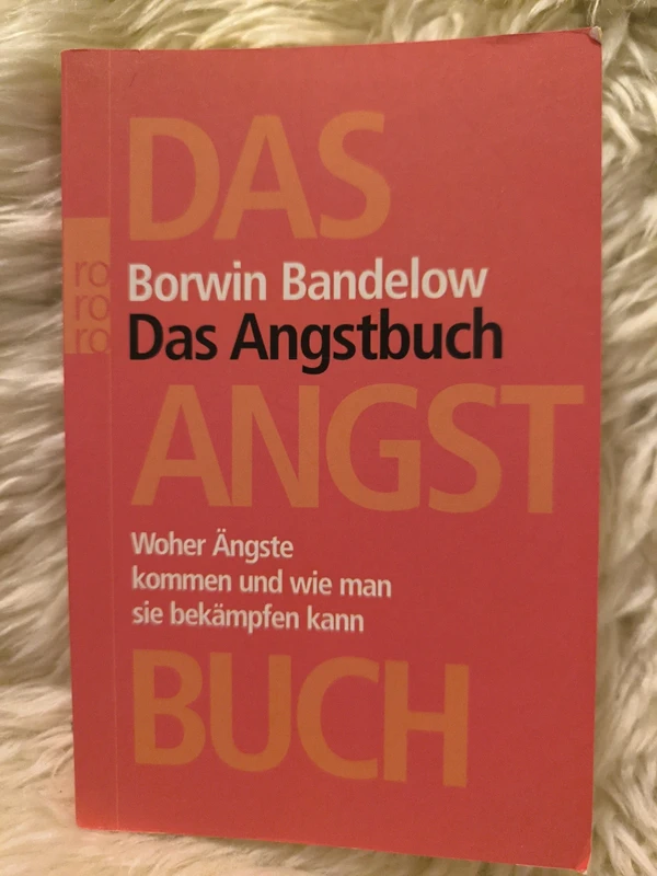 Das Angtsbuch