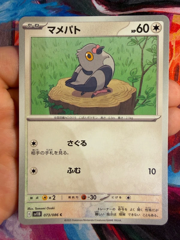 Pidove (sv11B 073)