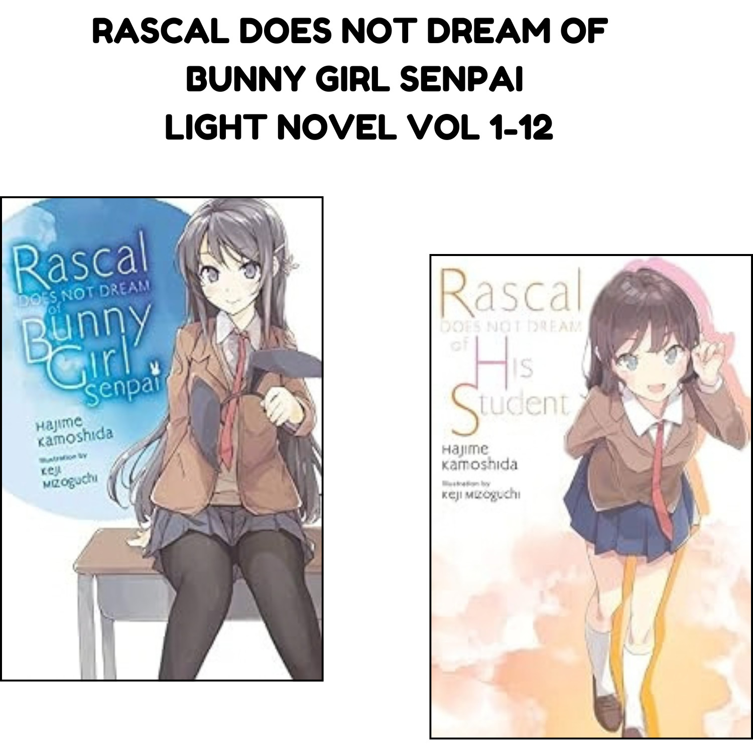 Rascal Does Not Dream of Bunny Girl Senpai Volume 1-12 Light Novel Inglese Ver