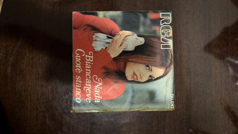 Lotto 9x 45 giri Vintage 1969-1976 - Nada Dalida Equipe 84