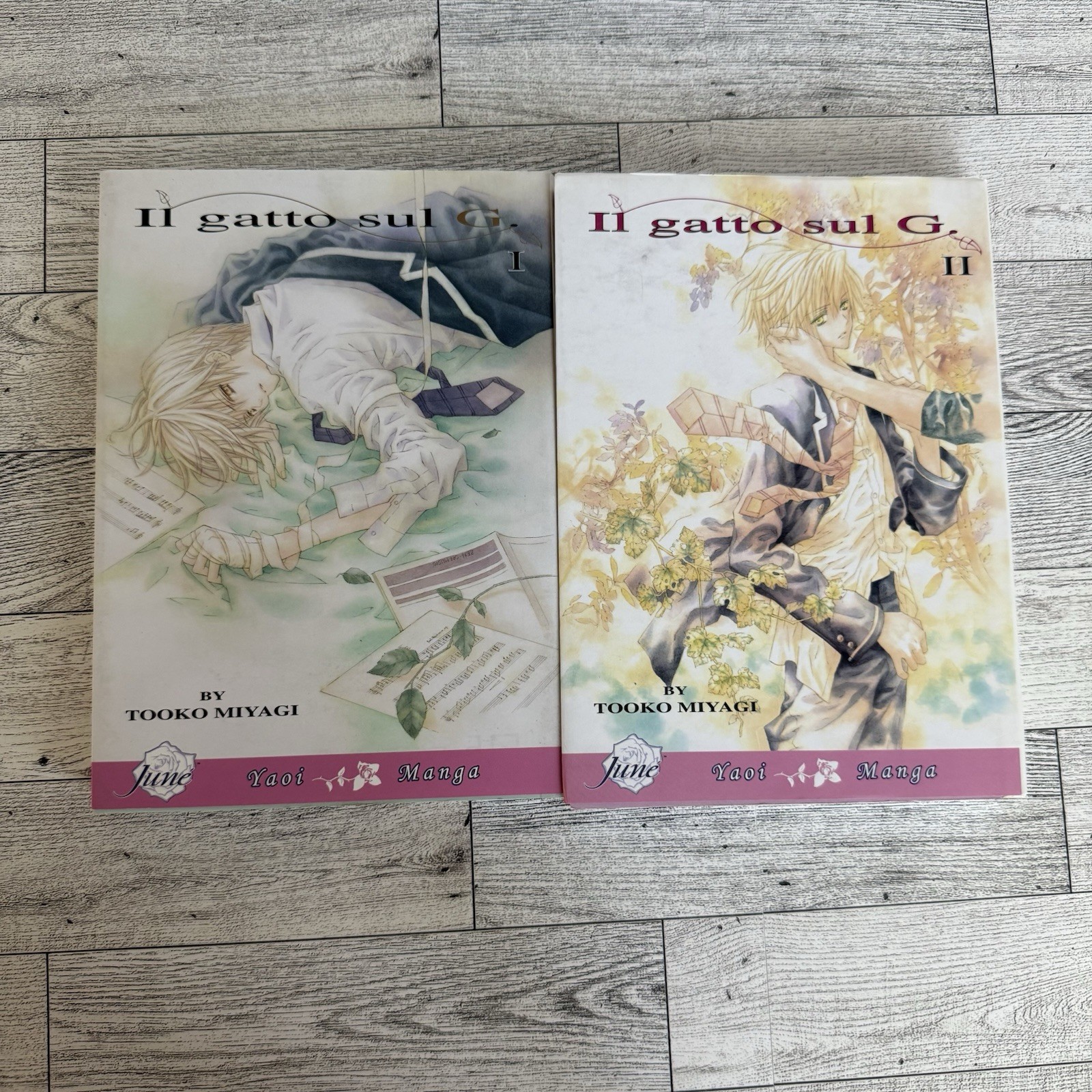 Il Gatto Sul G Manga Lotto Vol Vol Volume 1 2 I II Tooko Miyagi Yaoi Romance Libro Giugno