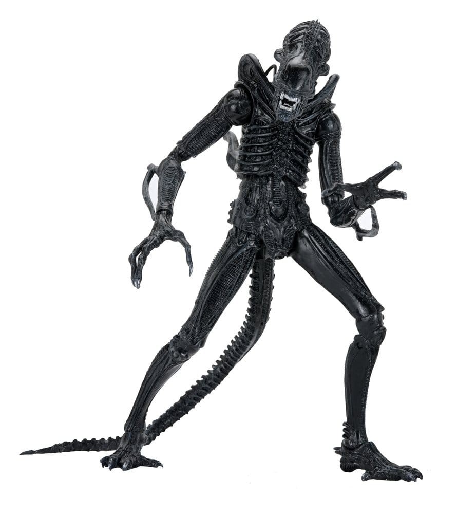 Aliens Ultimate Actionfigur Warrior (1986) Xenomorph Black (40th Anniversary) 23