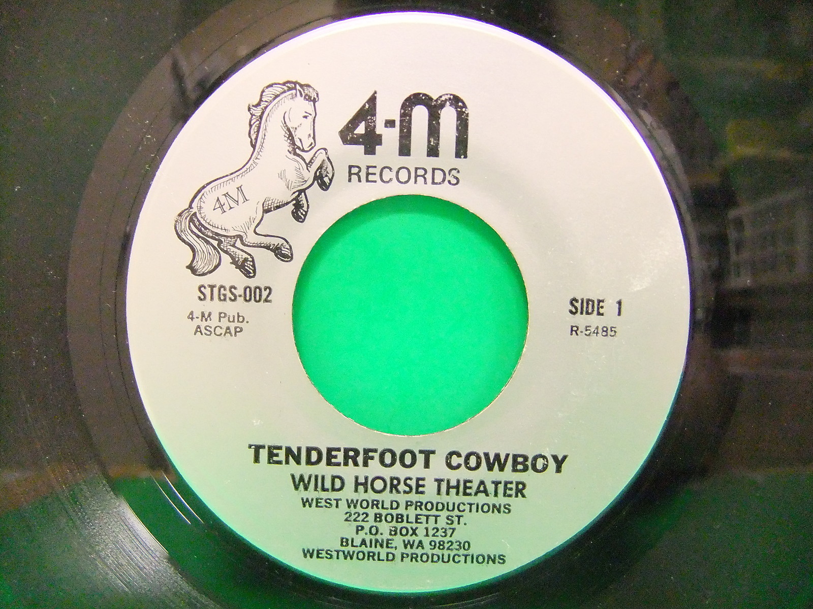 Wild Horse Theater Tenderfoot Cowboy / Vicki 80's 7" 45  4-M Records STGS 002