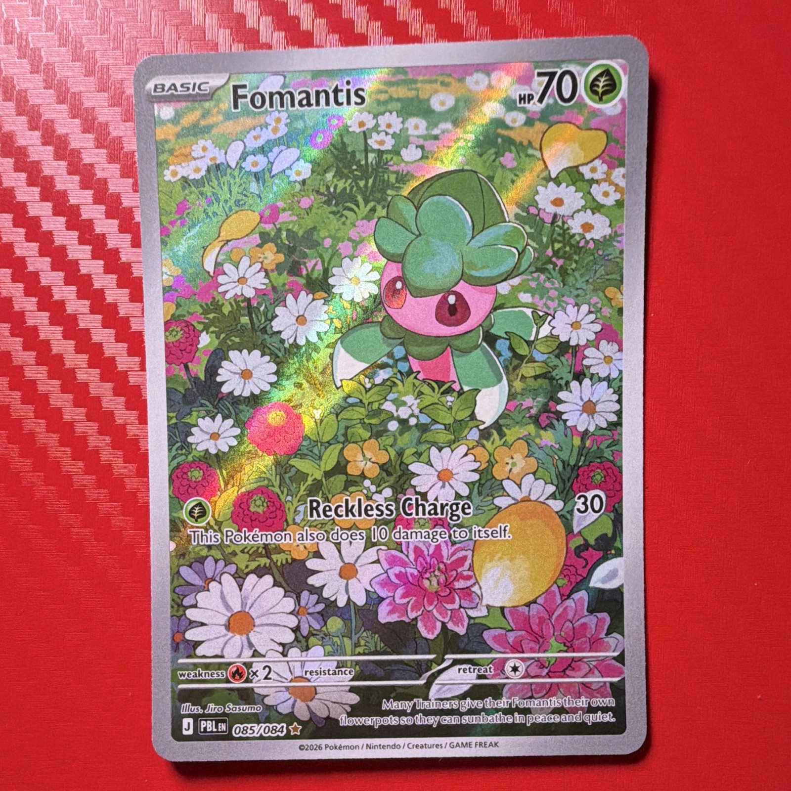 Fomantis 085/084 Pitch Black Illustrazione Rara Full Art Holo Pokemon 70HP
