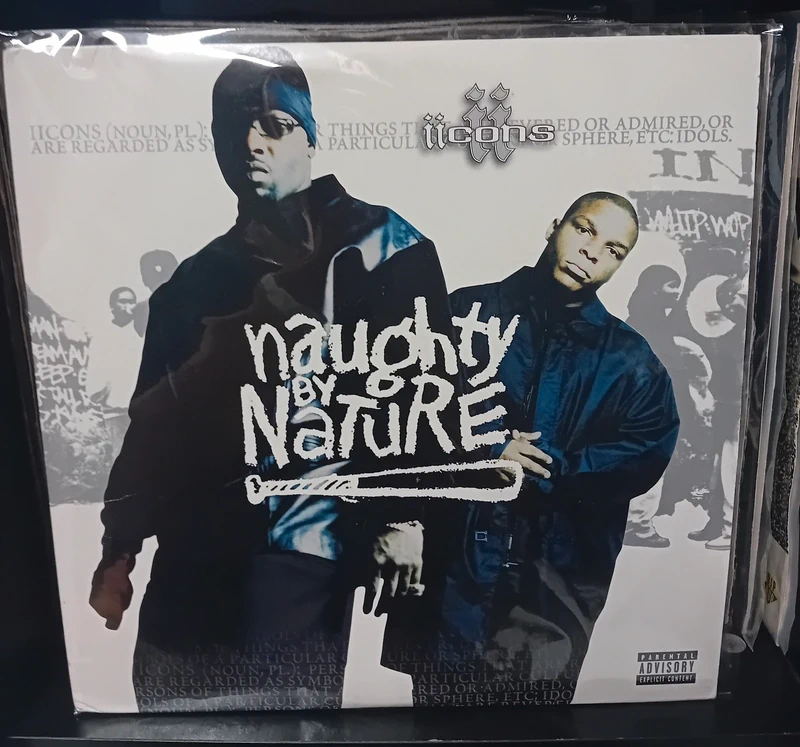 Naughty By Nature - icons - 2xlp