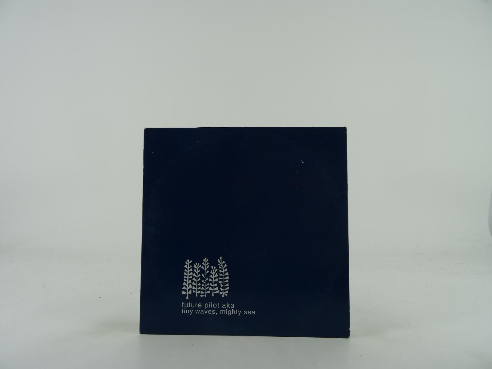 FUTURE PILOT A K A TINY WAVES MIGHTY SEA (346) 13 Track Promo CD Album plus Card
