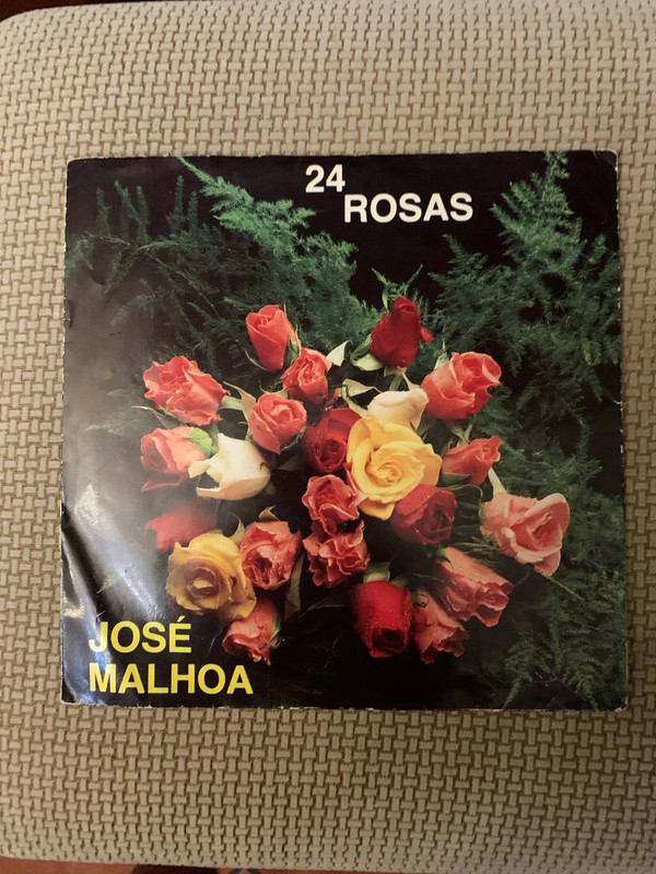 José Malhoa 24 rosas