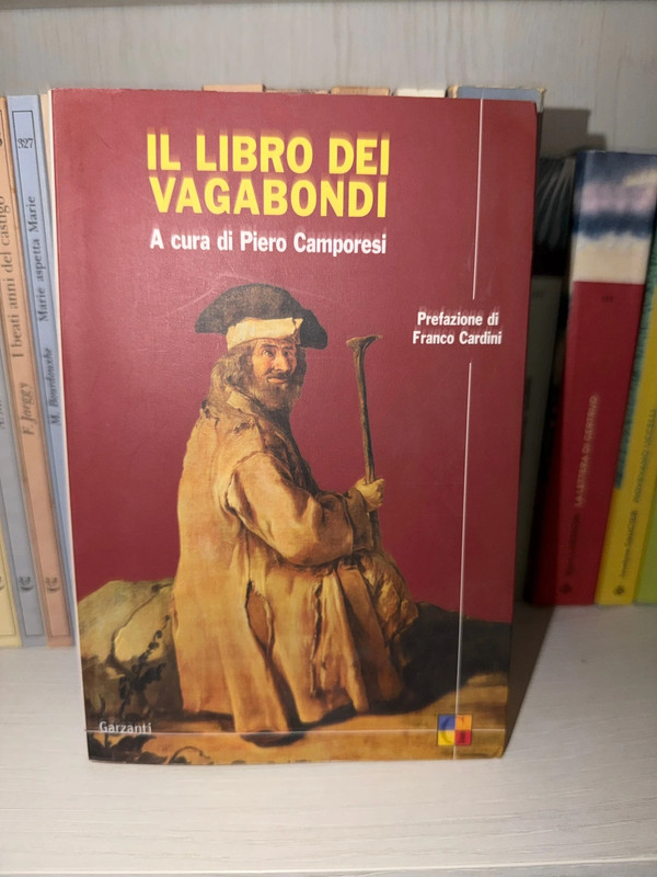 Il libro dei vagabondi
