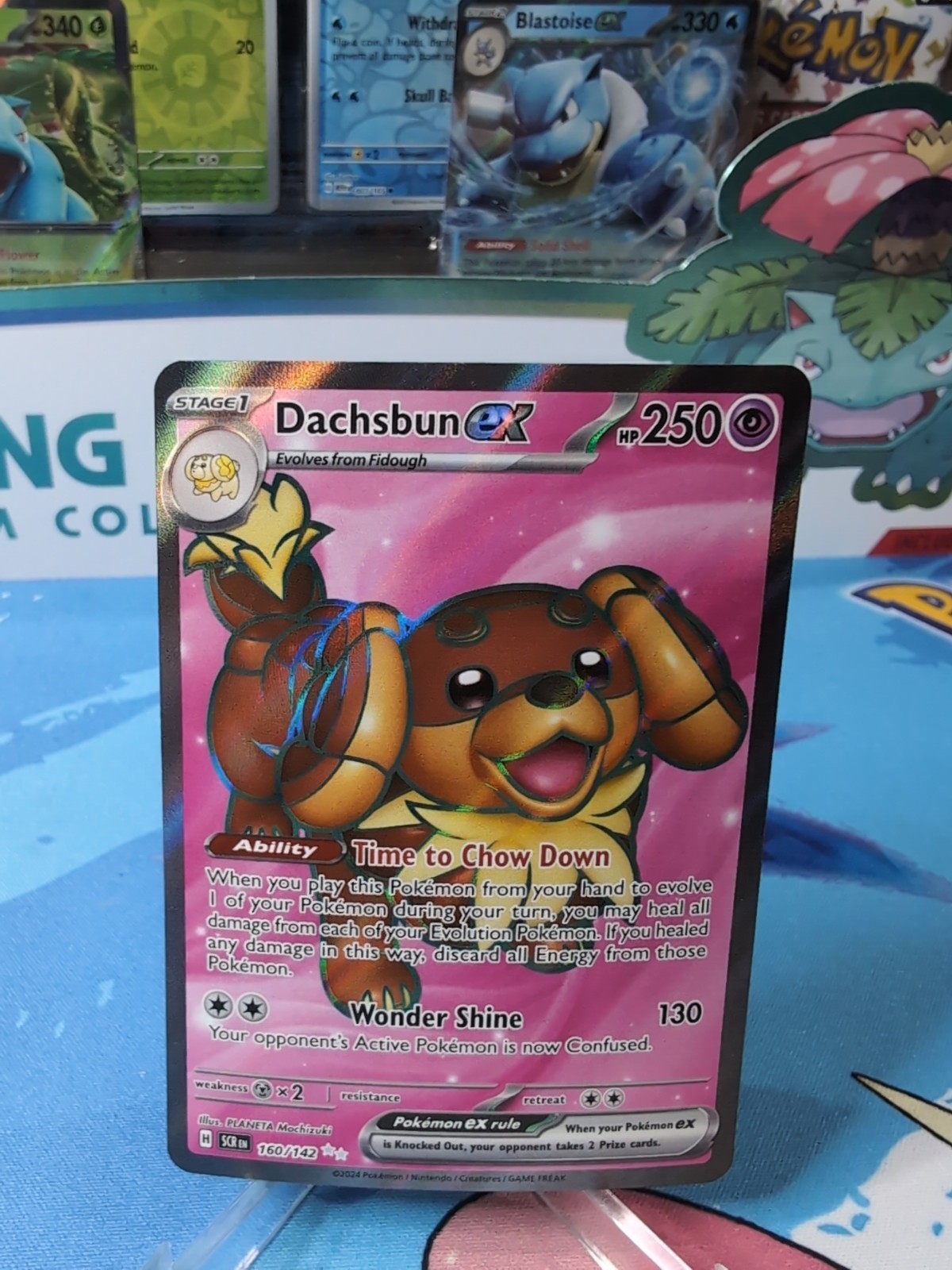 Dachsbun ex - 160/142 - Stellar Crown Full Art - NM - Pokemon