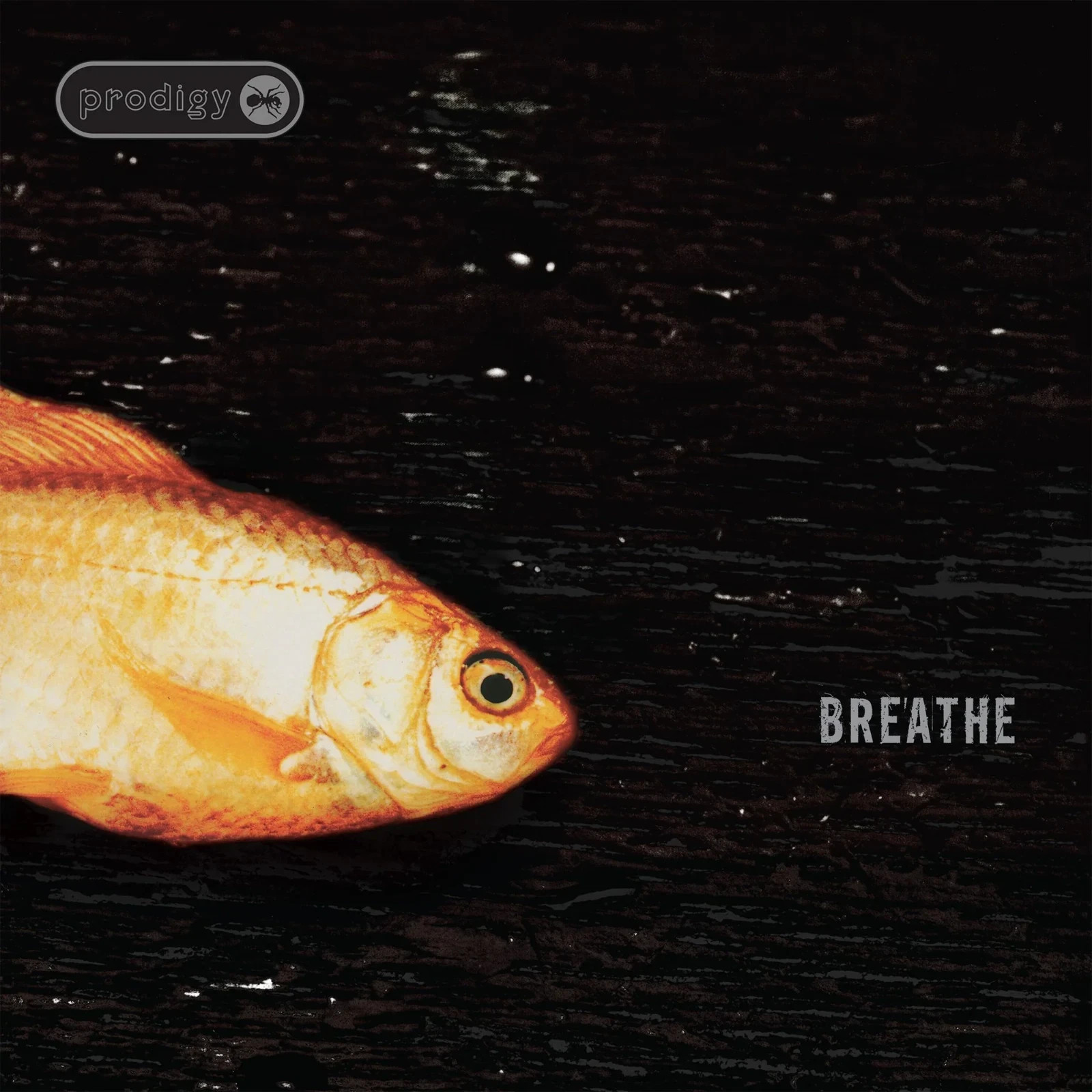 The Prodigy Breathe 12" Vinyl 30th Anniversary Pre-Sale 13th November 2026