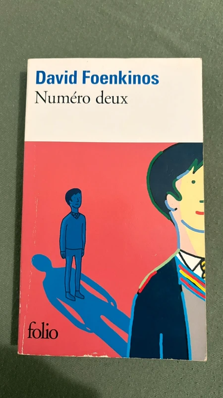 Livre David Foenkinos