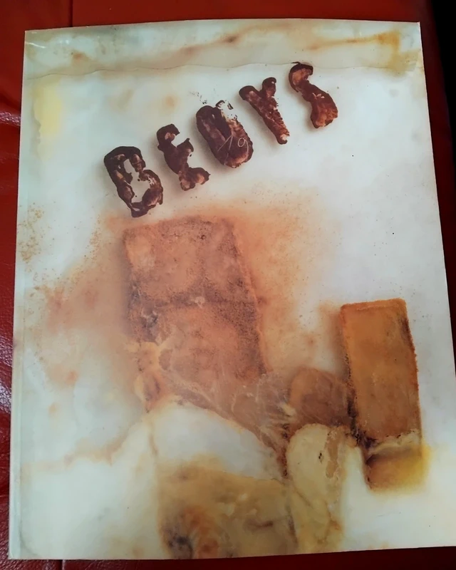 Beuys.  Plasticien Allemand.  Tb état.