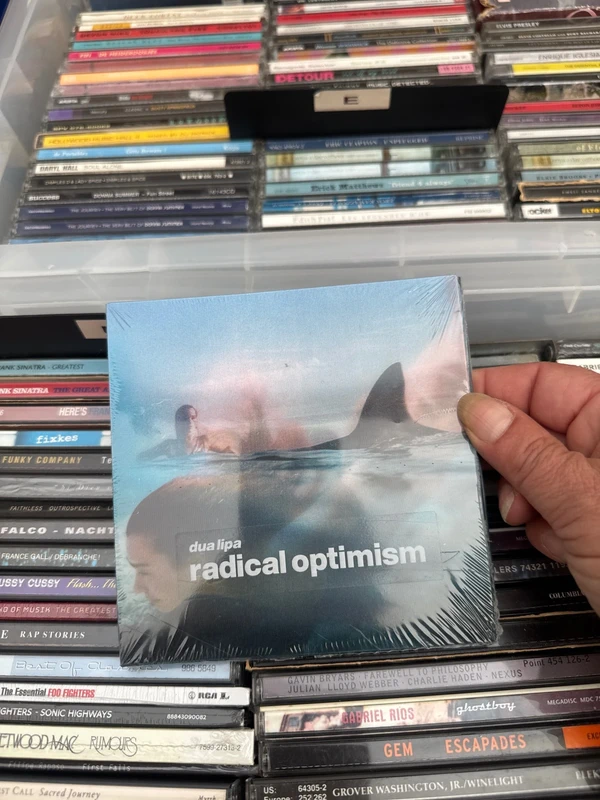 Dua lipa-radical optimism