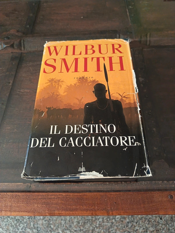 Libro romanzo