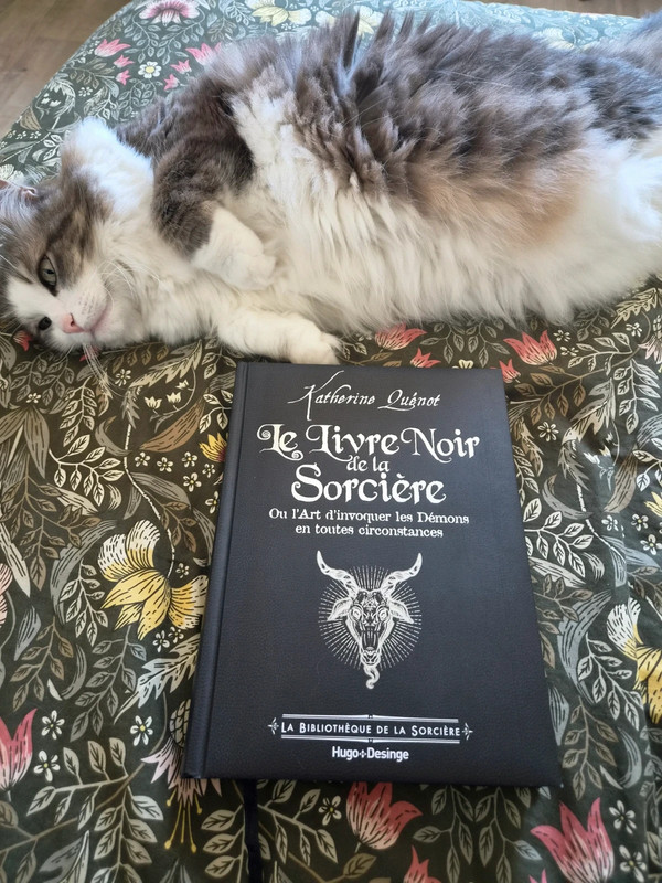 Le Livre Noir de la Sorcière