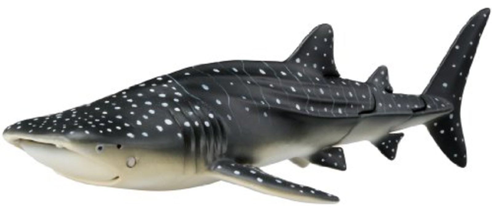 Figurina Squalo Balena Takara Tomy Ania AL-5 con numero di tracciamento nuova dal Giappone