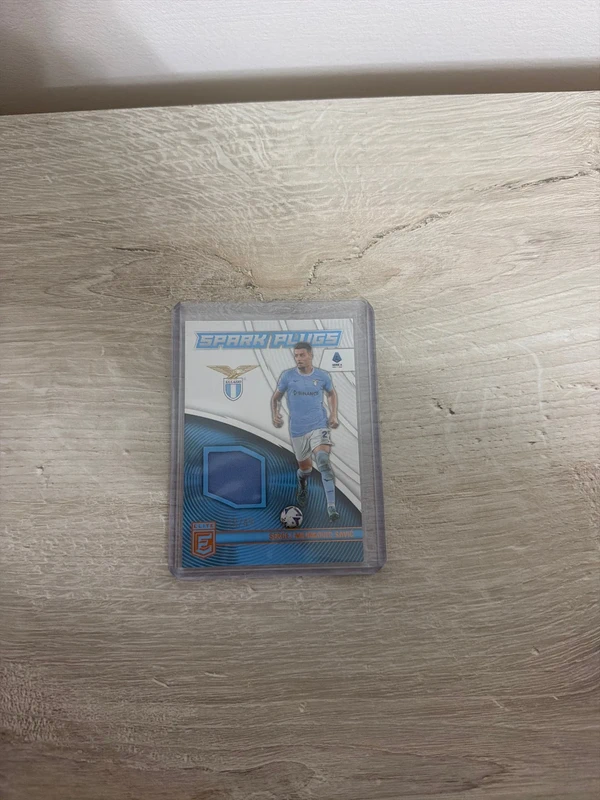 Sparg plugs Sergej milinkovic savic