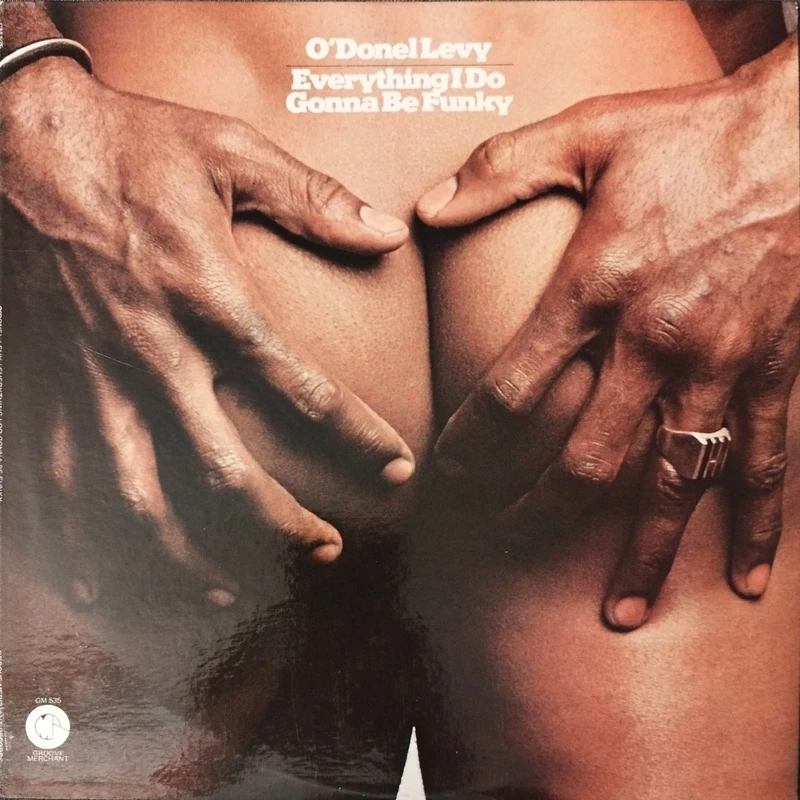 O'Donel Levy – Everything I Do Gonna Be Funky rare soul funk original us LP