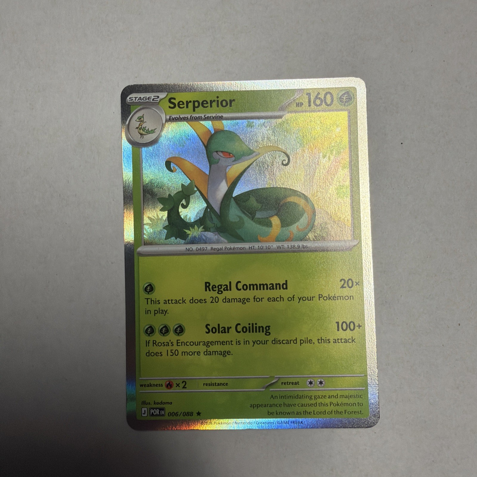 SERPERIOR 006/088 Raro ORDINE PERFETTO Pokemon Carino | HOLO | NM
