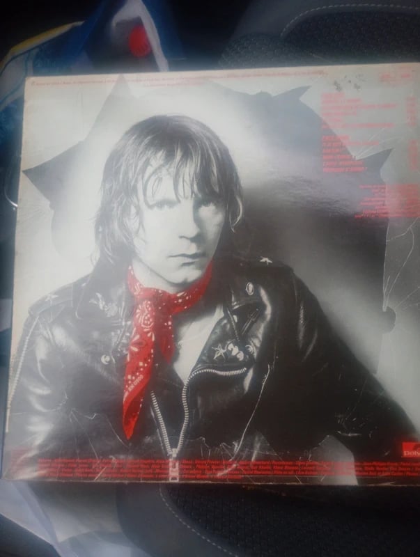 Disque vinyle 33 tour Renaud