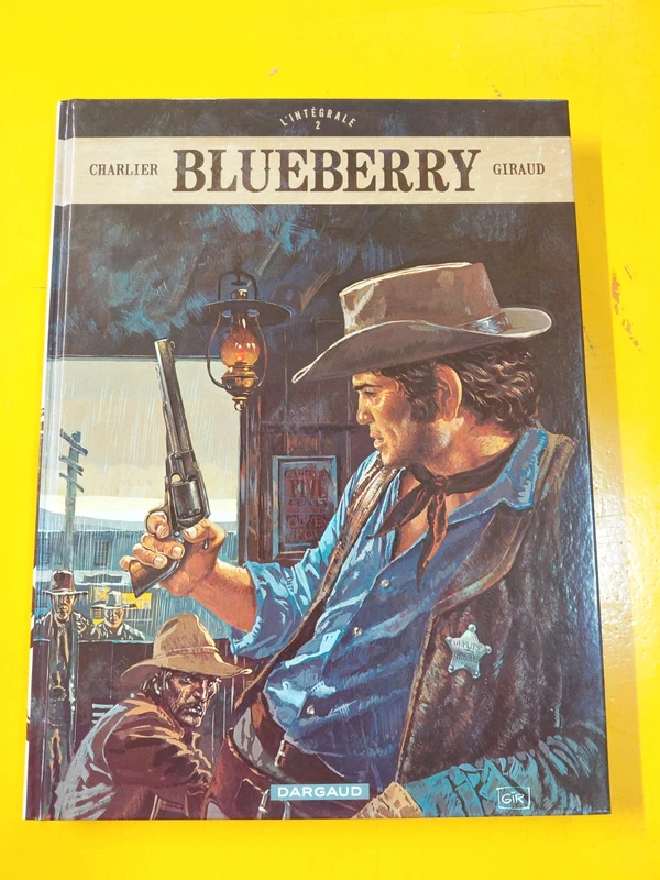 Blueberry integrale t2