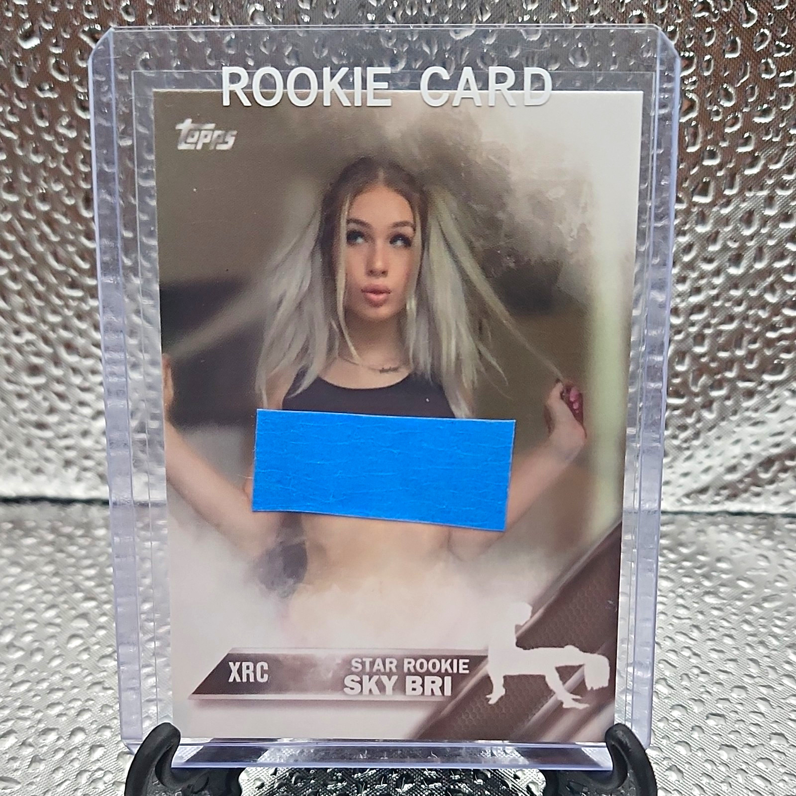 Sky Bri Bang Bros Trading Card 2023 Ltd 500 Base