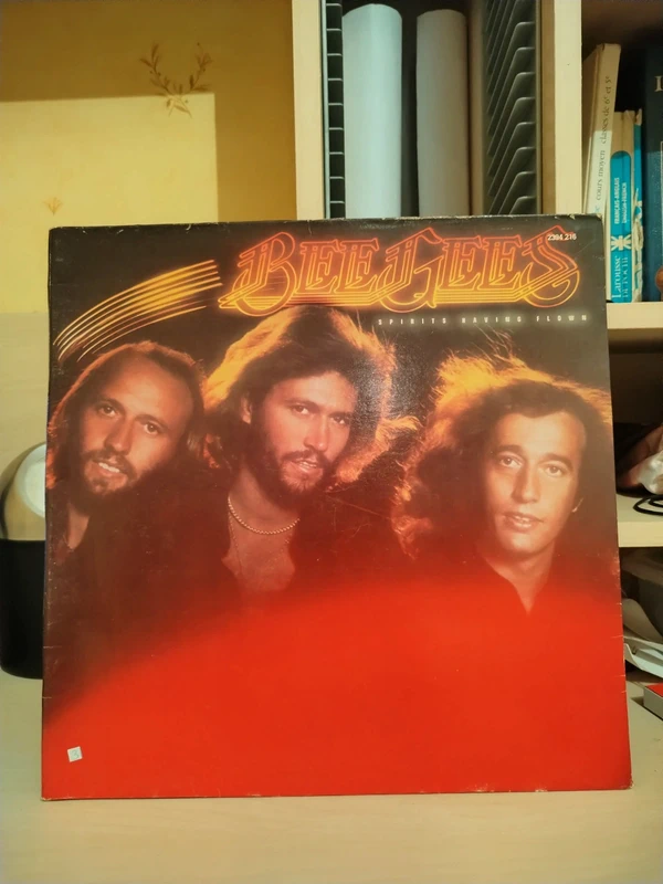 Vinyle 33 tours - Bee Gees - Tragedy
