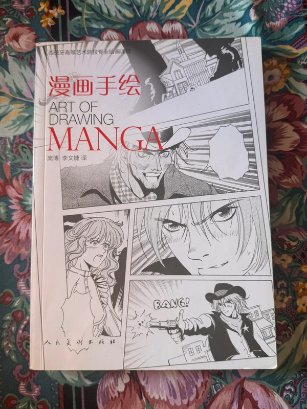 Art of drawing manga in cinese