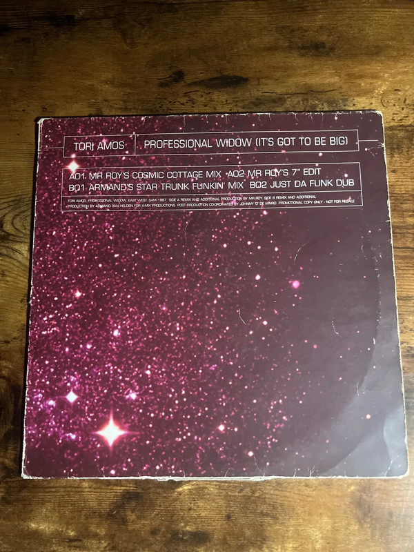 Professionnal widow / Tori Amos